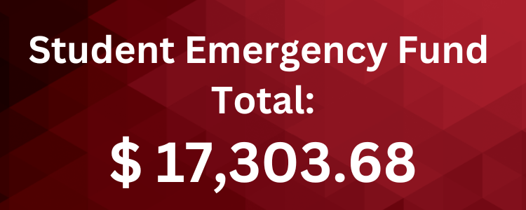 Student Emergency Fund Total